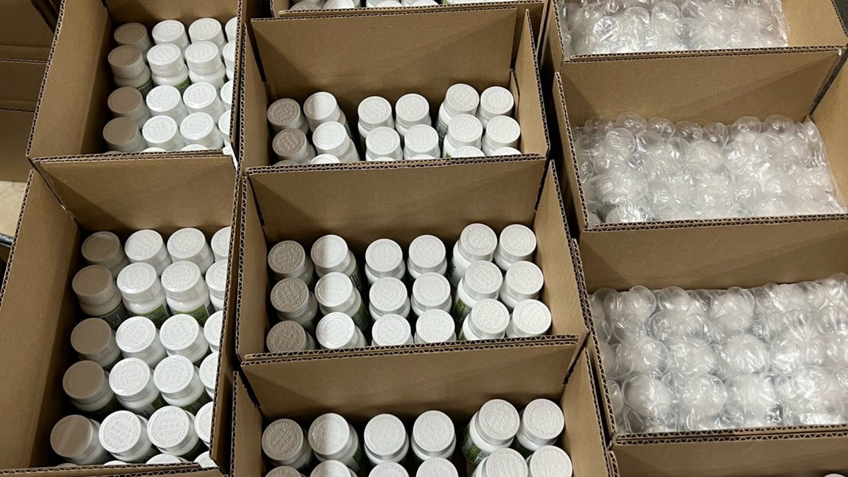 Fizzy Programme Wholesale Program – Fizzy THC